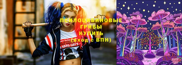 прущие крисы Богородицк