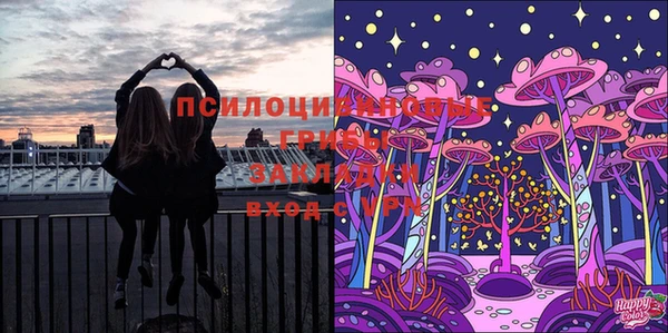 гашик Белоозёрский