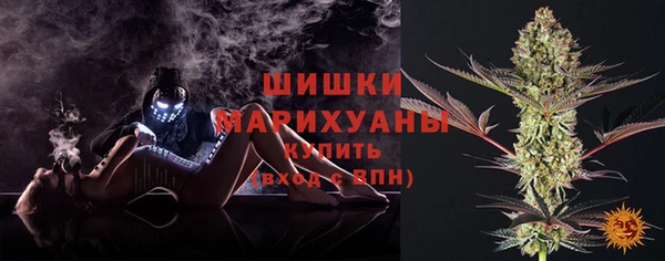 марки lsd Пересвет