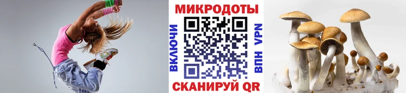 mega ссылки  Наро-Фоминск  Псилоцибиновые грибы Cubensis 